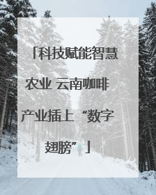 科技赋能智慧农业 云南咖啡产业插上“数字翅膀”