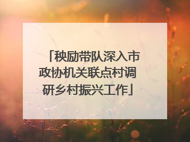 秧励带队深入市政协机关联点村调研乡村振兴工作