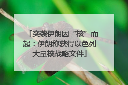 突袭伊朗因“核”而起：伊朗称获得以色列大量核战略文件