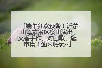 端午狂欢预警！沂蒙山龟蒙景区祭山演出、艾香手作、对山歌、逛市集！速来嗨玩~