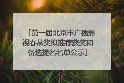 第一届北京市广播影视春燕奖拟推荐获奖和备选提名名单公示