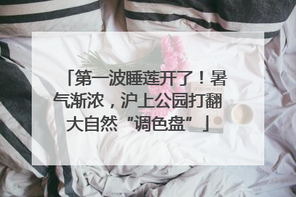 第一波睡莲开了！暑气渐浓，沪上公园打翻大自然“调色盘”