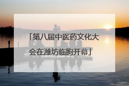 第八届中医药文化大会在潍坊临朐开幕