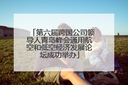 第六届跨国公司领导人青岛峰会通用航空和低空经济发展论坛成功举办