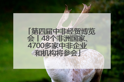 第四届中非经贸博览会丨48个非洲国家、4700多家中非企业和机构将参会