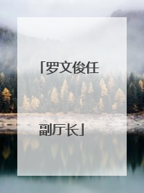 罗文俊任副厅长