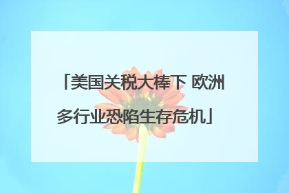 美国关税大棒下 欧洲多行业恐陷生存危机