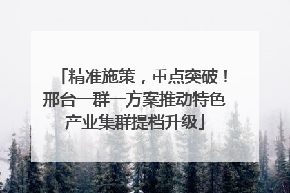 精准施策，重点突破！邢台一群一方案推动特色产业集群提档升级