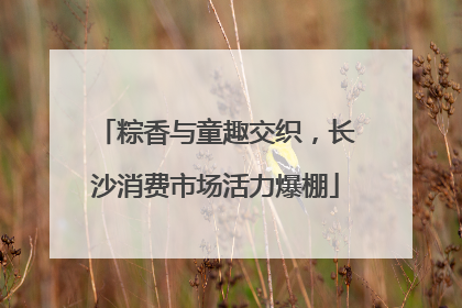 粽香与童趣交织，长沙消费市场活力爆棚