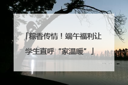 粽香传情！端午福利让学生直呼“家温暖”
