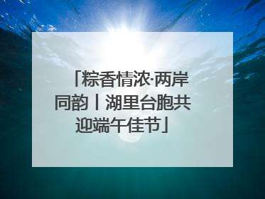 粽香情浓·两岸同韵丨湖里台胞共迎端午佳节