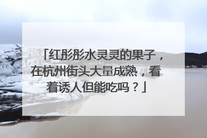 红彤彤水灵灵的果子，在杭州街头大量成熟，看着诱人但能吃吗？