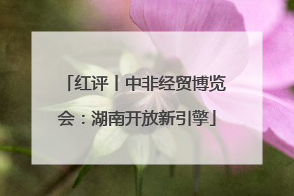 红评丨中非经贸博览会：湖南开放新引擎