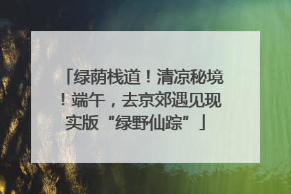 绿荫栈道！清凉秘境！端午，去京郊遇见现实版“绿野仙踪”