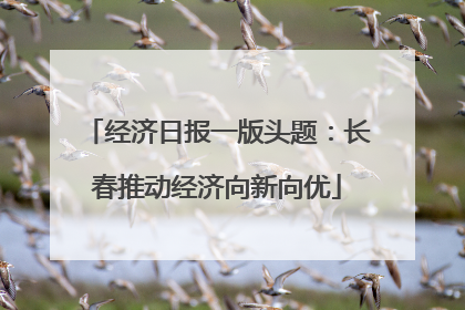 经济日报一版头题：长春推动经济向新向优
