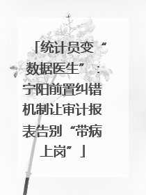 统计员变“数据医生”：宁阳前置纠错机制让审计报表告别“带病上岗”