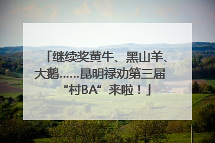 继续奖黄牛、黑山羊、大鹅……昆明禄劝第三届“村BA”来啦！