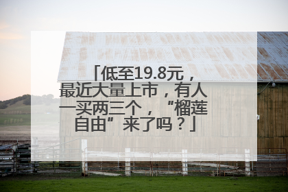 低至19.8元，最近大量上市，有人一买两三个，“榴莲自由”来了吗？