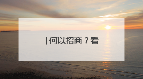 何以招商？看兰山升维破局