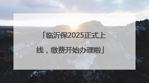 临沂保2025正式上线，缴费开始办理啦