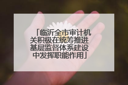 临沂全市审计机关积极在统筹推进基层监督体系建设中发挥职能作用