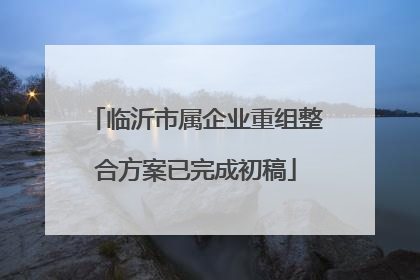 临沂市属企业重组整合方案已完成初稿