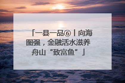 一县一品⑥丨向海图强，金融活水滋养舟山“致富鱼”