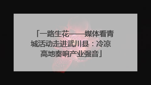 一路生花——媒体看青城活动走进武川县：冷凉高地奏响产业强音