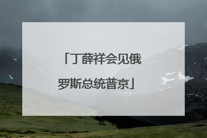 丁薛祥会见俄罗斯总统普京