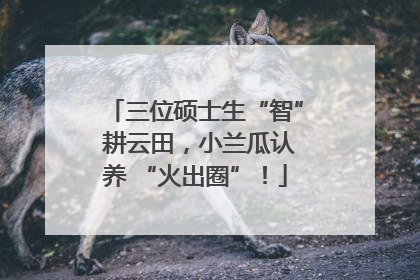 三位硕士生“智” 耕云田，小兰瓜认养 “火出圈”！