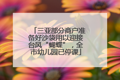 三亚部分商户准备好沙袋用以迎接台风“蝴蝶”，全市幼儿园已停课