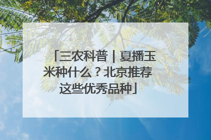 三农科普｜夏播玉米种什么？北京推荐这些优秀品种
