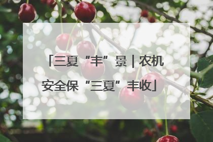 三夏“丰”景｜农机安全保“三夏”丰收