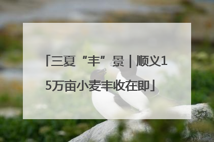 三夏“丰”景｜顺义15万亩小麦丰收在即