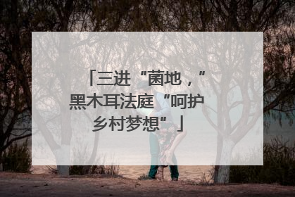 三进“菌地，”黑木耳法庭“呵护乡村梦想”