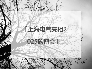 上海电气亮相2025碳博会