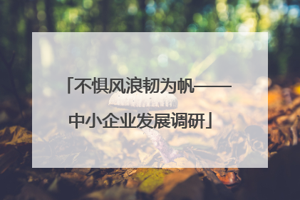 不惧风浪韧为帆——中小企业发展调研