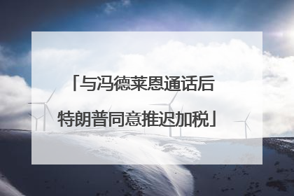 与冯德莱恩通话后 特朗普同意推迟加税