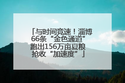 与时间竞速！淄博66条“金色通道”跑出156万亩夏粮抢收“加速度”