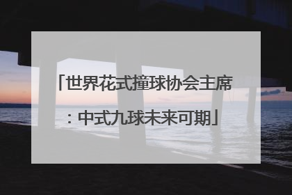 世界花式撞球协会主席：中式九球未来可期