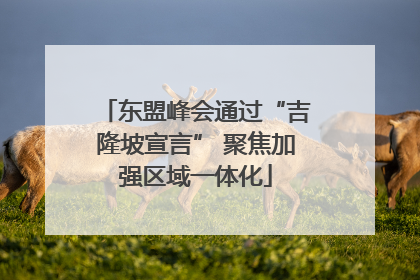 东盟峰会通过“吉隆坡宣言” 聚焦加强区域一体化