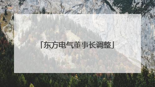 东方电气董事长调整