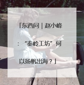 东西问｜赵小峰：“秦岭工坊”何以扬帆出海？