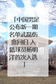 中国男足公布新一期名单武磊伤愈回归 入籍球员杨明洋首次入选