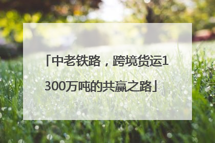 中老铁路，跨境货运1300万吨的共赢之路