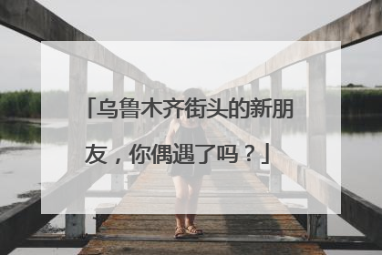 乌鲁木齐街头的新朋友，你偶遇了吗？