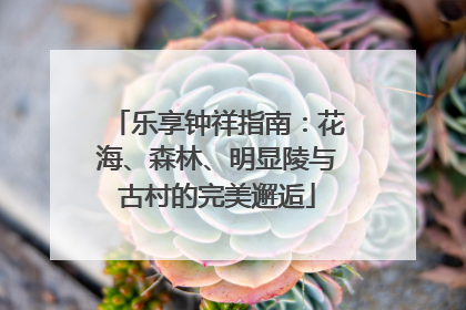 乐享钟祥指南：花海、森林、明显陵与古村的完美邂逅