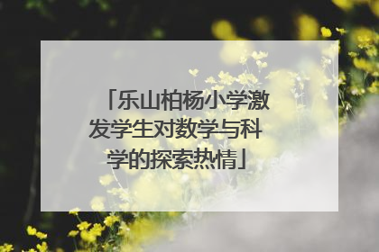 乐山柏杨小学激发学生对数学与科学的探索热情