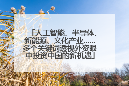 人工智能、半导体、新能源、文化产业……多个关键词透视外资眼中投资中国的新机遇