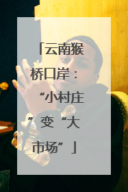 云南猴桥口岸：“小村庄”变“大市场”